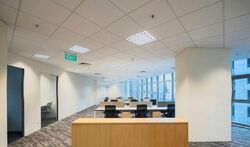 PLUS (D1), Office #533729731